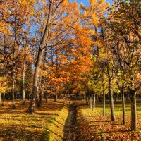 *** :: Сергей Григорьев