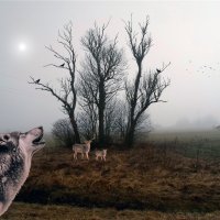 ....... :: Свечение Язычество