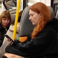 *** :: Владимир Захаров