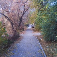 Путь осени :: Игорь Солдаткин