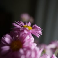 *** :: Иван Литвинов