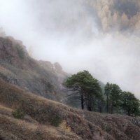 По склону в туман :: Марина Фомина. По склону в туман :: Марина Фомина.