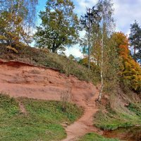 Берег реки Оредеж. :: Лия ☼