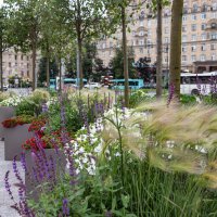 на Московской площади :: navalon M