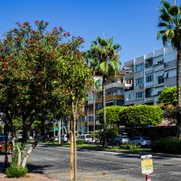 Улицы Алании :: Светлана SvetNika17