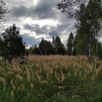 Пасмурный день :: Игорь Ч.