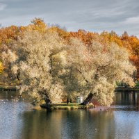 Гатчина. Осень :: Владимир Колесников