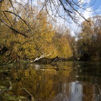 У Оки :: sorovey Sol