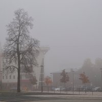 Всепоглощающий туман :: Татьяна Машошина Всепоглощающий туман :: Татьяна Машошина