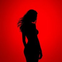 The woman&#39;s silhouette :: Vsevolod Boicenka