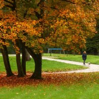 Прогулка в осень :: Юрий. Шмаков Прогулка в осень :: Юрий. Шмаков