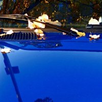 Осень 25 :: Алексей Кузнецов