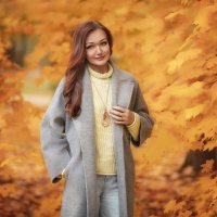 В осеннем парке :: Дмитрий Булатов