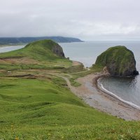 Голова Собаки :: Владимир Соколов (svladmir)