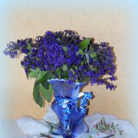 Синий букет. :: nadyasilyuk Вознюк