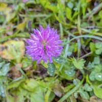 Октябрьский :: Валерий Иванович