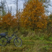 Октябрьское :: Сергей Цветков