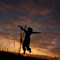 Взлёт. Радость. Солнце. :: Евгения Каравашкина