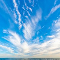 *** :: Виталий Емельянов