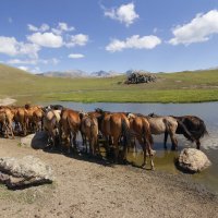 " А потому,что без воды..." :: LudMila 