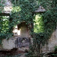 Развалины дворца Чачба-Шервашидзе :: Ольга 