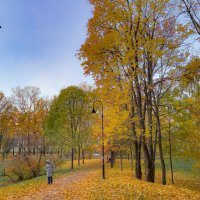 парк Новознаменка :: Алексей Чуркин