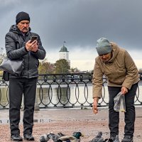 Кормление уток :: Алексей Чуркин