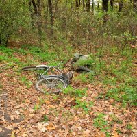 Спят усталые игрушки :: Андрей Л. В.