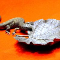 Чаша в виде виноградного листа с ящерицей. :: Валерий Новиков