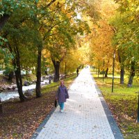 Аллея в парке Гагарина :: Валентин Семчишин