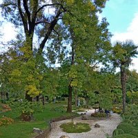 Японский сквер :: Tata Wolf