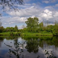 Апрельским днём... :: Николай Гирш