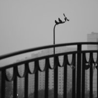 Парк Дружбы :: Мария Яковлева