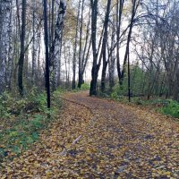 Октябрь :: Galina Solovova Октябрь :: Galina Solovova