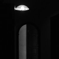 * :: Василий Палий