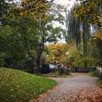 **** :: Андроник Александр 