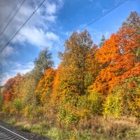 В дороге :: Irene Irene