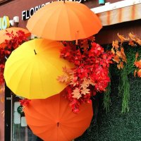 Город. :: Любимова Ольга 