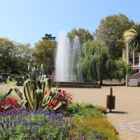 Сочи :: Serega SchütZ