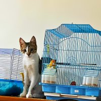 ОХРАНА   НА   ПОСТУ :: Анатолий Малобродский