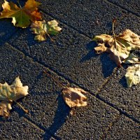 Осень 30 :: Алексей Кузнецов