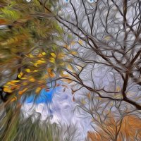 Осень - ты прекрасна! :: Валентина  Нефёдова 