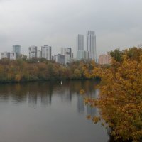 Осень, осень... :: Дмитрий И_