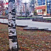 Октябрь...Утром по бульвару в садик! :: Владимир Октябрь...Утром по бульвару в садик! :: Владимир