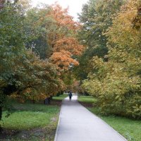 Природа  Крыма :: Валентин Семчишин