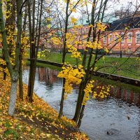 *** :: Дмитрий Лупандин