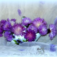 Ах,васильки-васильки.... :: nadyasilyuk Вознюк