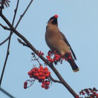 ** :: Зоя Мишина