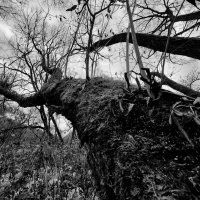 эксперимент :: Артём 