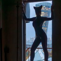 Ночная гостья возвращается :: Евгений Крючков